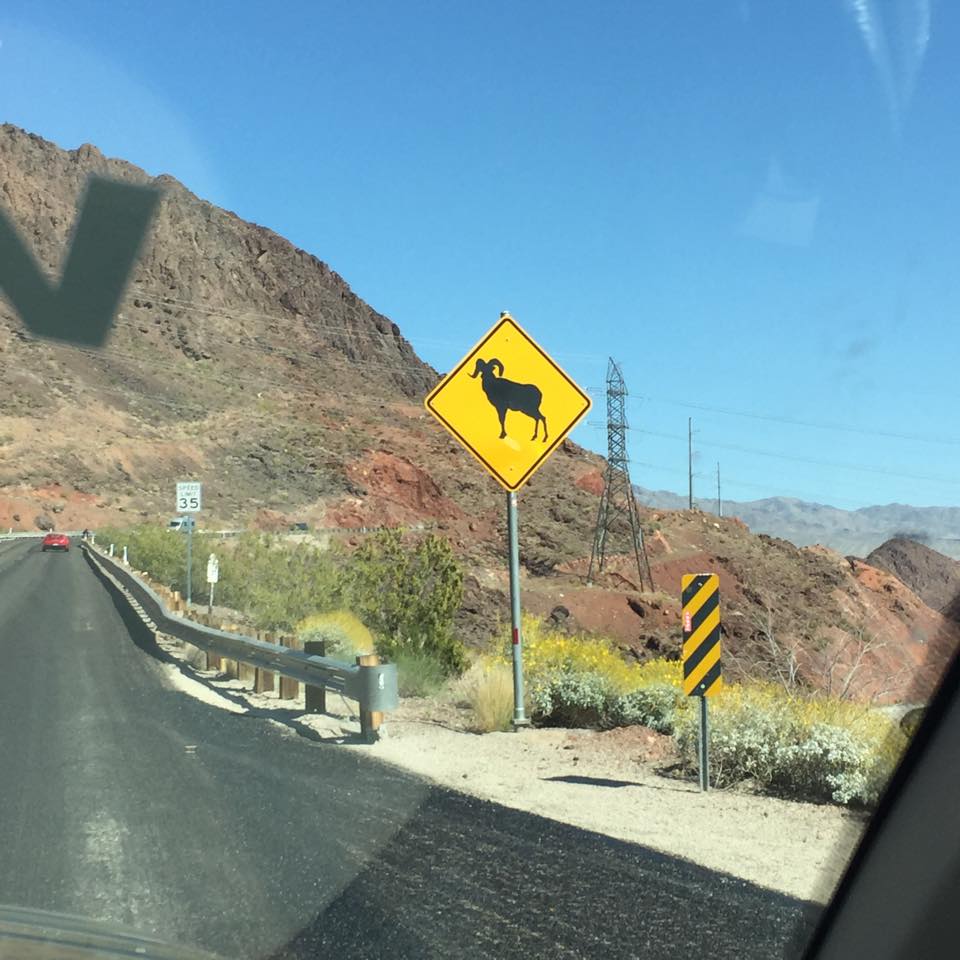 PowerTank tweet media