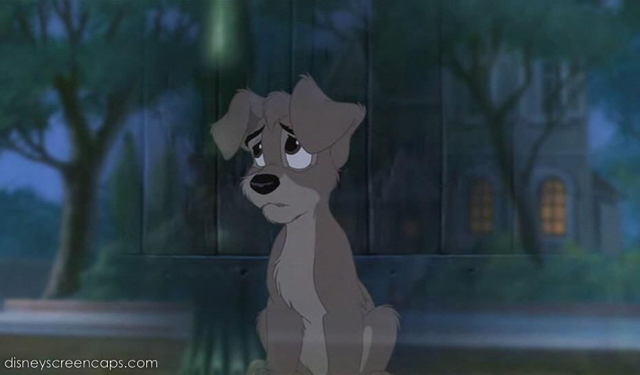 1DasDisney's tweet photo. Omg 😭 http://t.co/LO0zya4dLH