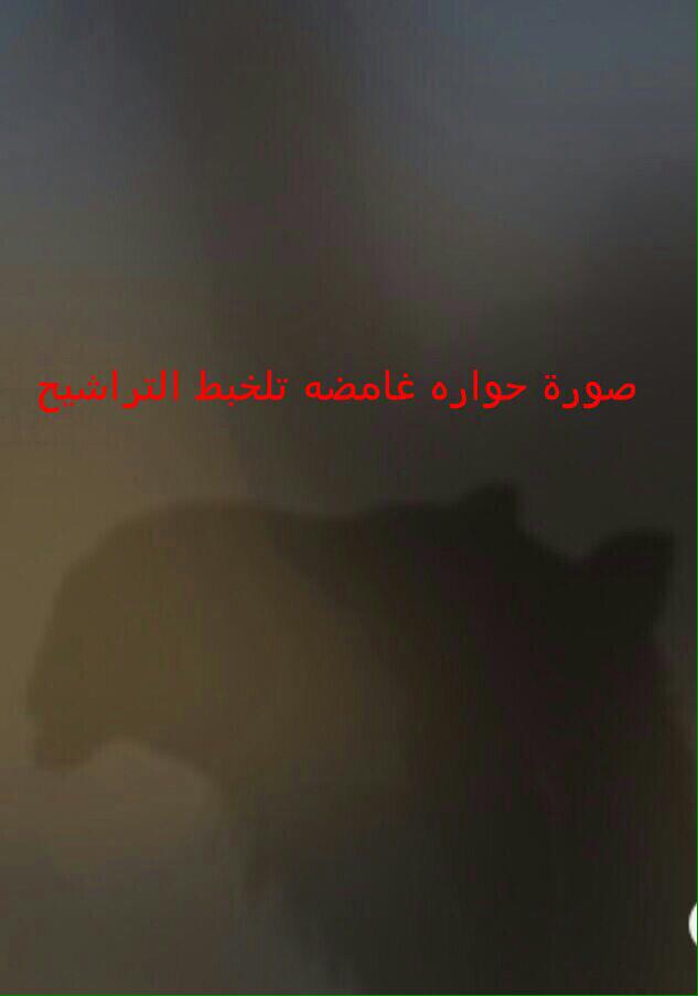 556For's tweet image. 