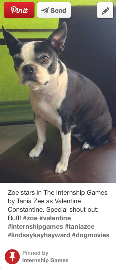 InternshipGames's tweet photo. What's a comedy w/out a Dog? Meet Zoe, starring in #internshipgames by #taniazee. Learn more on Pinterest. #1lilboss http://t.co/2ejv3E6EBn
