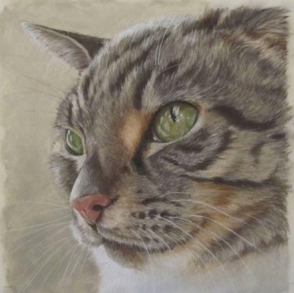 NEW Pet &amp; Animal Artist on UK Artist Finder - Debby Mayne - ukartistfinder.co.uk/#!debby-mayne/…