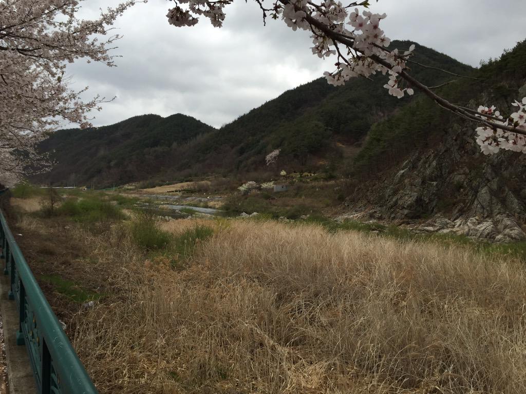 dhqxlqb12's tweet photo. 설천의봄은 예쁘다
봄의 물은 맑고
봄의 산은 연푸르고
봄의 꽃은 새롭다
역시 봄!!! http://t.co/CQ0baSdNUn