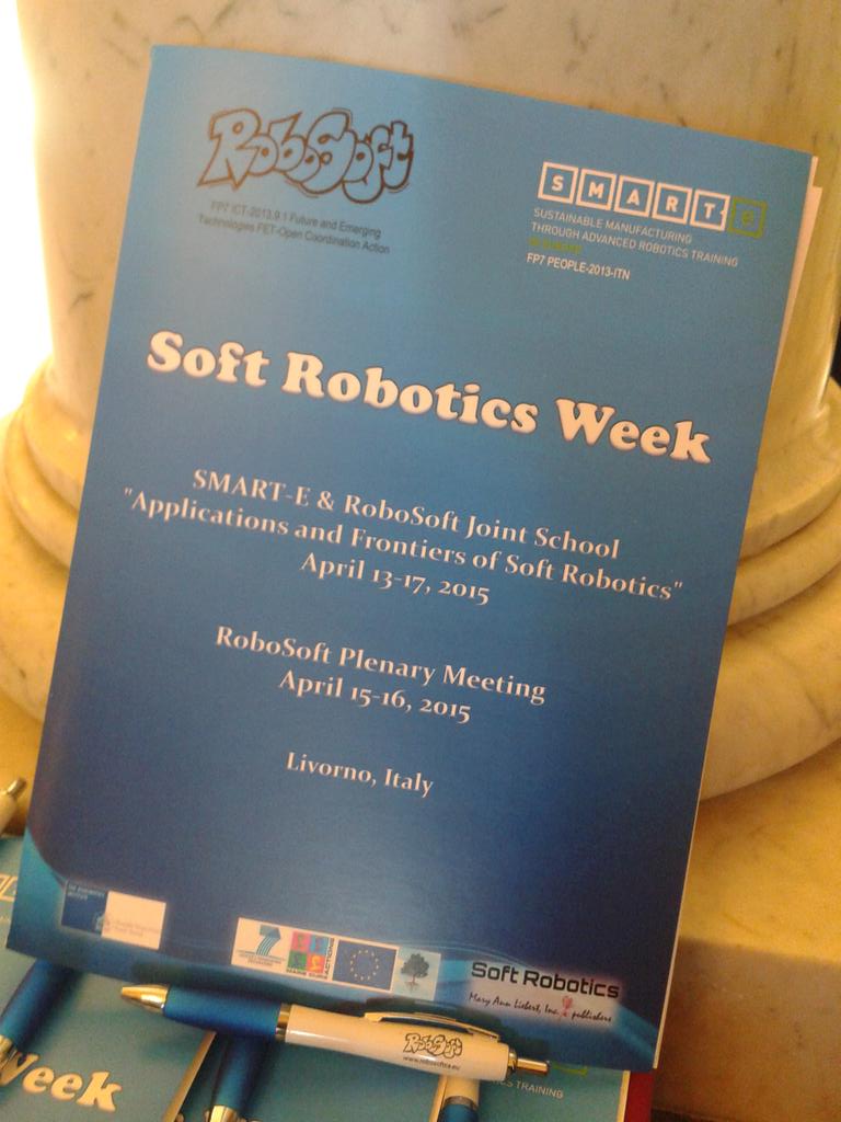 RoboSoft_CA's tweet photo. Ready to start! #softroboticsweek #Robotics #FET_EU http://t.co/ckRjRvFk6K