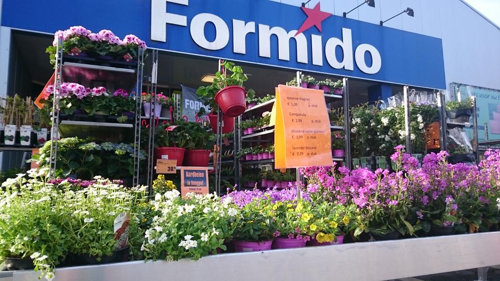 Formidoleeuwen's tweet photo. Wij zijn weer los! #formido #benedenleeuwen http://t.co/lXabWLrKAM