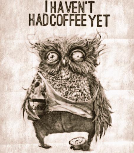 RedDoorChester's tweet image. #MondayMorningProblems ☕️ We are in need of @littleyellowpig or @JauntyGoat #coffee - maybe even both!