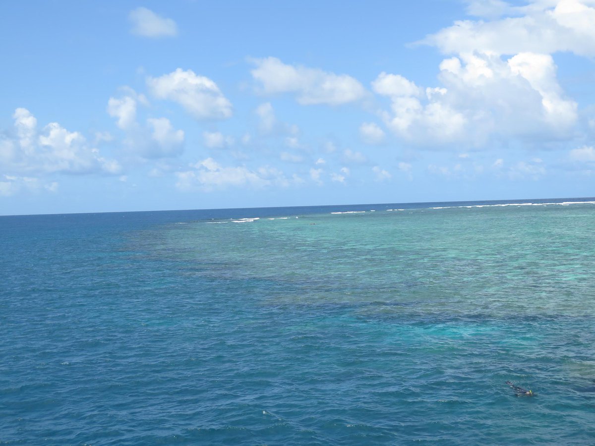 Fashion__Carol's tweet photo. Thank you @CalypsoDive for an amazing day of dive &amp; snorkel. #GreatBarrierReef #OpalReef #AgincourtReef #PortDouglas http://t.co/rrAp83kQJ1