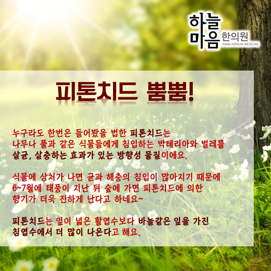 skin8575's tweet photo. 피부진정에도 좋고 피로회복에도 좋은 산림욕, 어떻게 하는건지 알아볼까요? http://t.co/O0ryVIN9fs