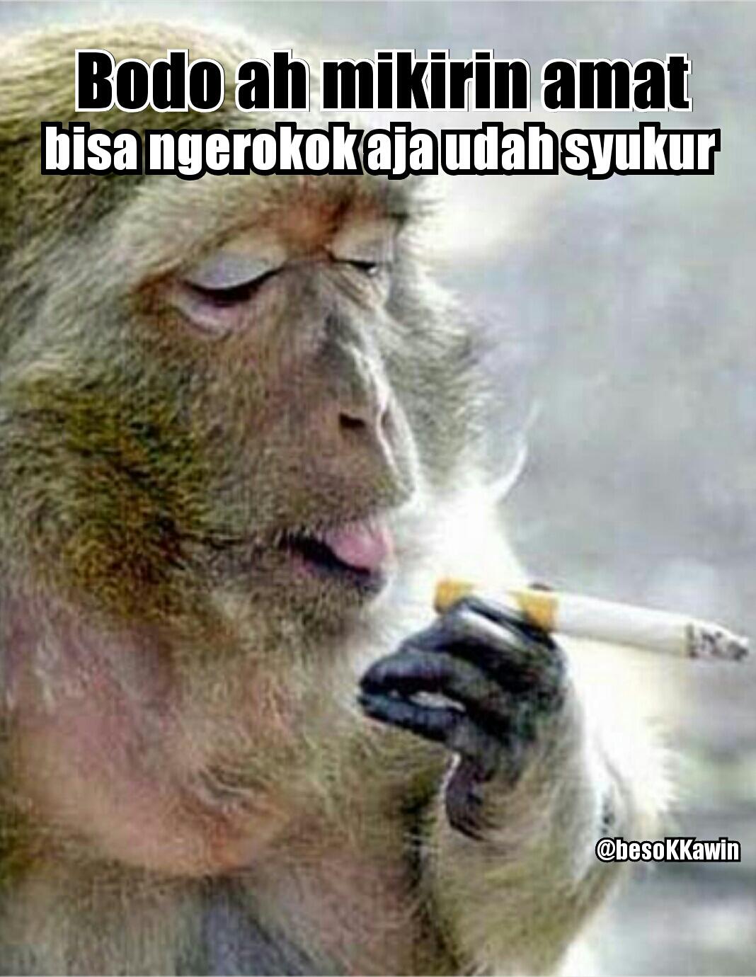 CCdYiq7UAAAl7re.jpg:large