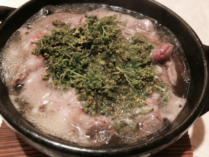 ojin6969's tweet photo. 春の息吹が・・・熱く滾っておる・・・！ http://t.co/haMOzGKFKo