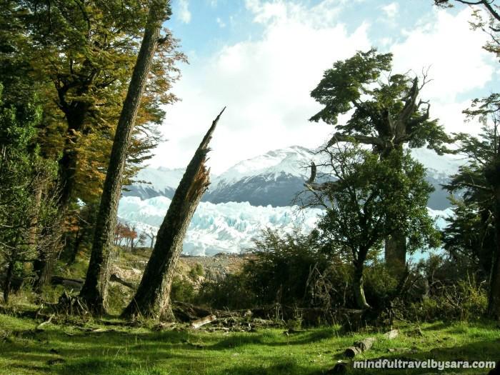 MindfulTravel_'s tweet image. Perito Moreno: Ecotourism in #Patagonia mindfultravelbysara.com/en/2013/12/per… #Argentina @argentinaturism @viajaportupais