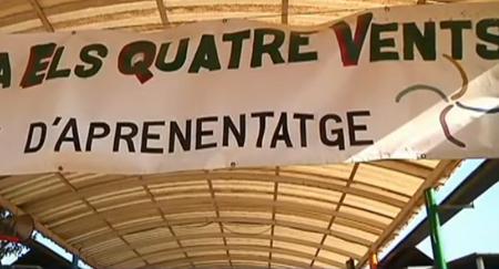 VOTV tweet media
