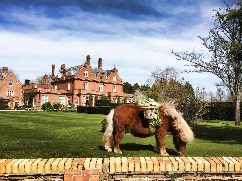 chippenhampark's tweet photo. Fantastic day for our first Wedding Fayre of the season yesterday! #weddings #chippenhampark #dream #venue #love http://t.co/fy9FmJnpZu
