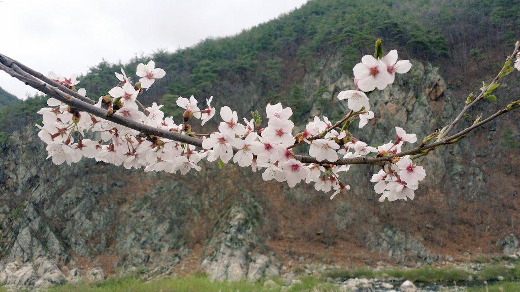 yhj2403's tweet photo. 봄, 새싹, 야외수업, 신난다, 친구들 http://t.co/jbsUnrbcRe