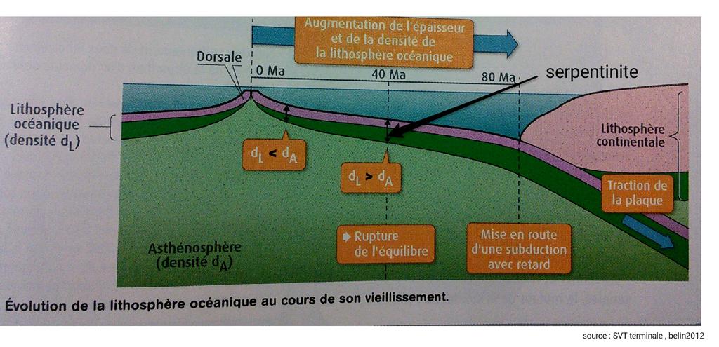 SVTSugerTab2's tweet photo. La serpentine dans la lithosphère océanique #péridotite
#tweeteTsvt #ts #géologie http://t.co/o6p8MrlrhJ