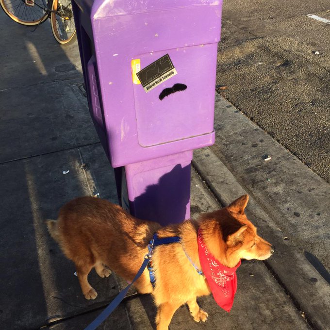 Who is this mustache vandal in San Diego? Immensely amusing. http://t.co/hSUH3y3cgA<a href="/tag/mvsales"class="tags"><span>#mvsales</span></a>