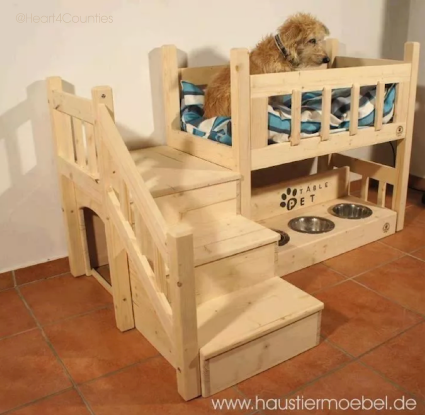 Heart4Counties's tweet photo. That's better than my bed! #DogBunkBed
Matt x http://t.co/UNf7So0D0E