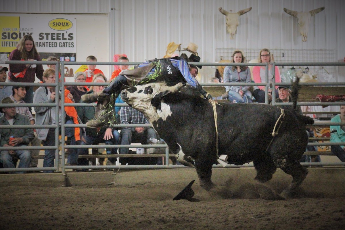 triplesrodeopho's tweet photo. Not a great place to be! @Rodeo_Wrecks @RankRidersLife @rodeo_probz @Bullridingprobs #ToughLuck #Hookin http://t.co/GSx0rerwMt