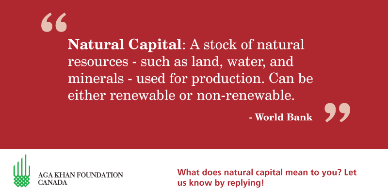 Agakhanfoundationcan On Twitter This Week S Development Definition Is Natural Capital Let Us Know What Natural Capital Means To You Globaldev Http T Co Vuk2e1ktim
