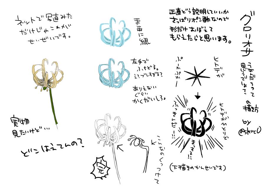 アルストロメリアとトルコキキョウとグロリオサとユリの描き方 
