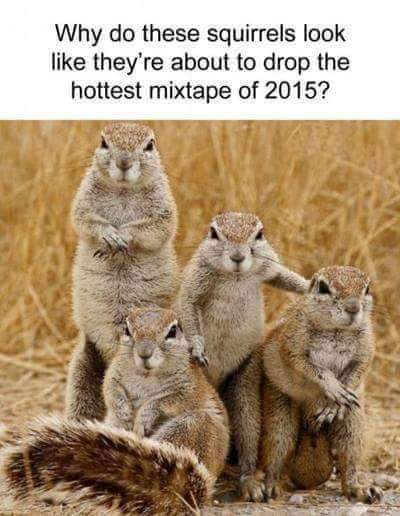 Tamiris Damaceno (@tdamaceno2) on Twitter photo 