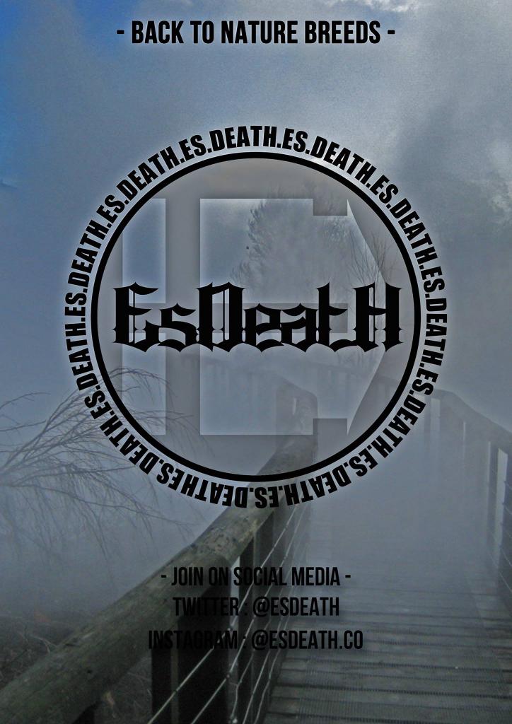 Selamat malam guys :)