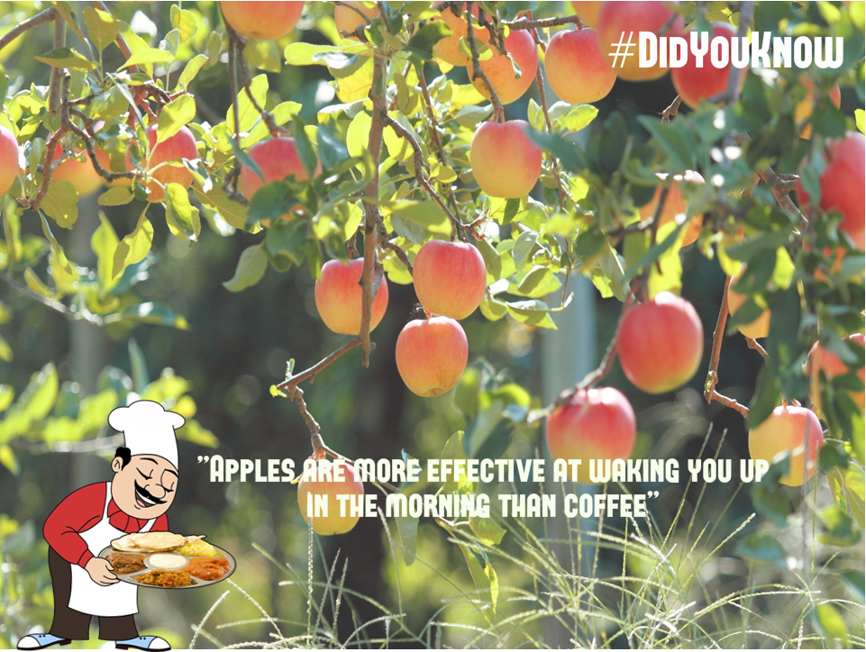 FoodInTrain's tweet photo. #DidYouKnow - Apples are more effective at waking you up in the morning than coffee.
#FoodInTrain #Thaliwale http://t.co/9iNJbQnDLN