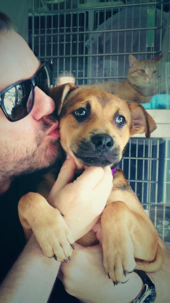 If you don't have empathy with animals, you don't have empathy.