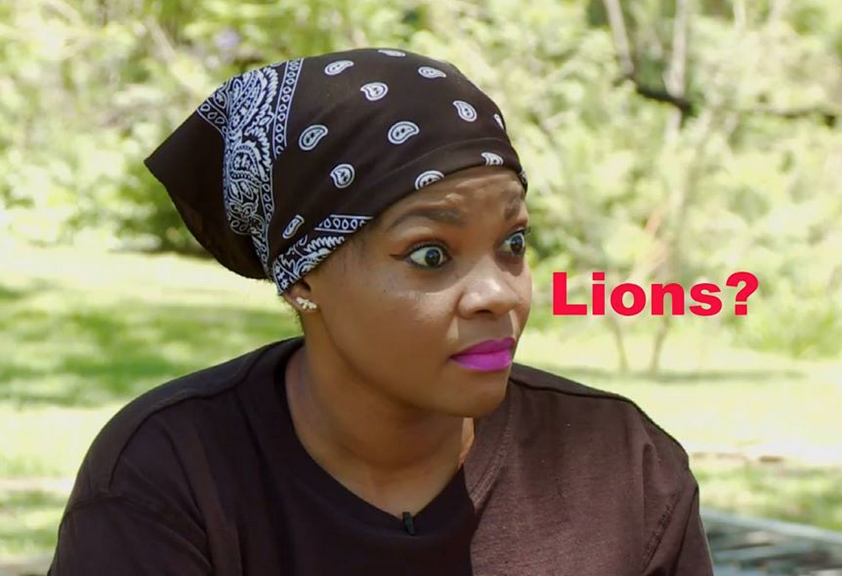 BootcampMzansi's tweet photo. Have you seen our #BootcampMzansi image gallery? Take a peek here: http://t.co/0lOIzBE28G http://t.co/Xgu6yqJTTJ