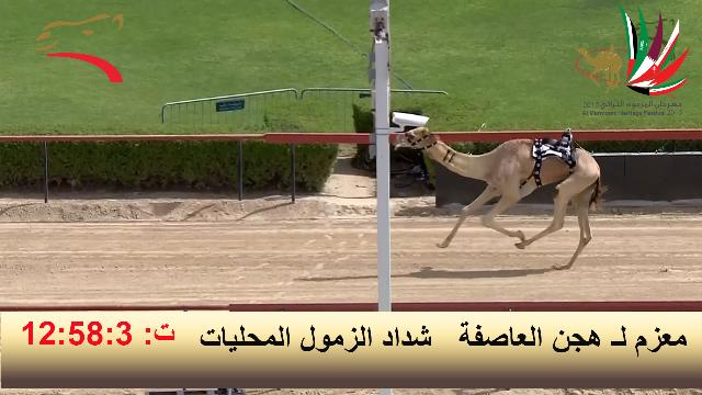 khalifaali5's tweet photo. http://t.co/XcfhtcolcT