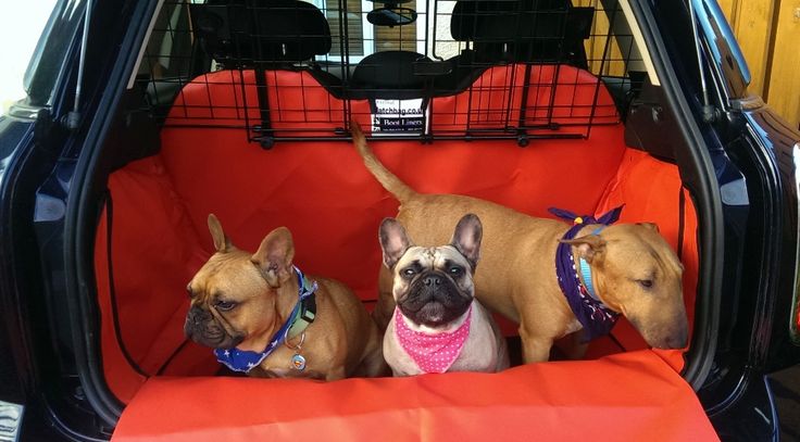 mini cooper dog boot liner