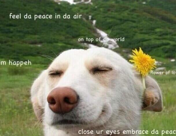 ameliaamarie's tweet photo. WHEN YOU WAKE UP TO A CLASS IS CANCELLED EMAIL http://t.co/I030CZGMLC