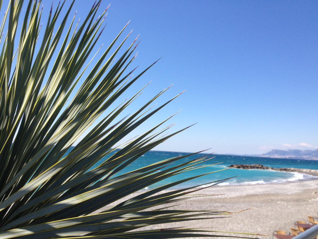 cukina61's tweet photo. http://t.co/NmSROjg6Ee