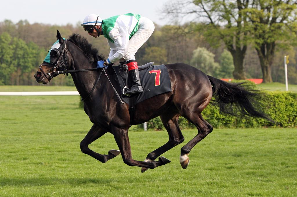 German Racing Review tweet media