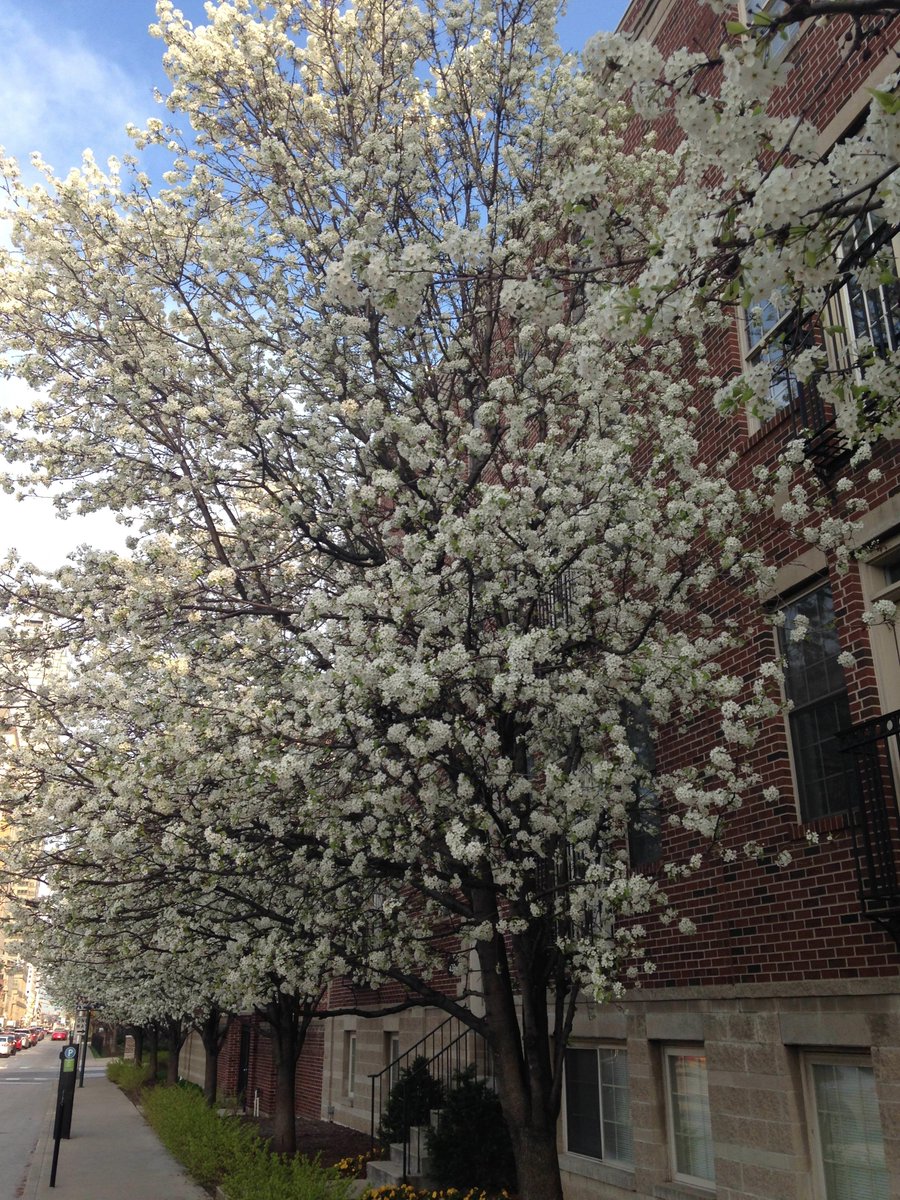 Spring is in the air