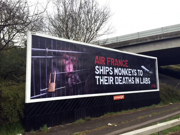 PETAShares's tweet photo. This GIANT billboard at London's #HeathrowAirport reminds ppl of @airfrance's hidden "passengers."

RT if u ❤️ it! http://t.co/W3hJmicVoc
