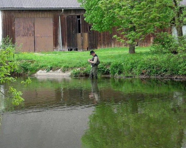 Fish_around tweet picture