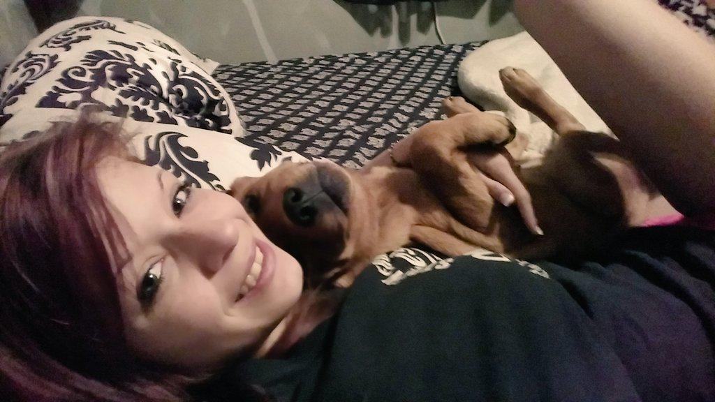 HannerNatalie's tweet photo. We woke up like this!❤😘 #Remington #furbaby #myboy #selfiegametoostrong💪 #morningcuddles http://t.co/SGhqVp1Ues