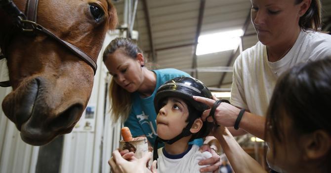 Expresa_AC's tweet photo. La nobleza de un animal puede ayudar a un niño http://t.co/nhQF6BTTvz http://t.co/895VAtms4D