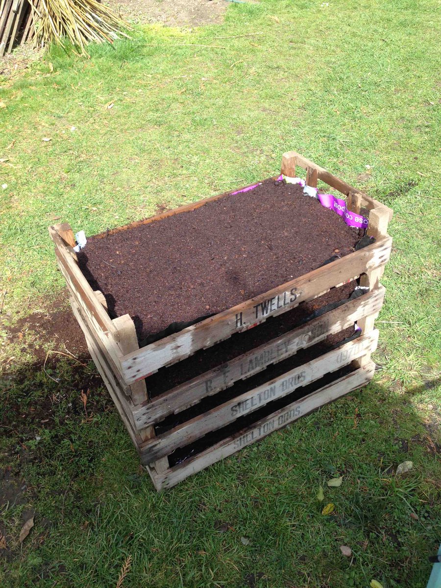 For #NationalGardeningWeek we're producing bee friendly flower patches in crates 4 people who don't have much space!