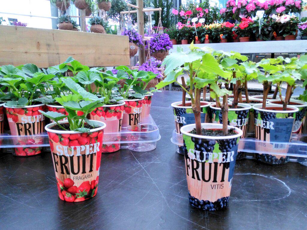 Johan Knaap tweet media