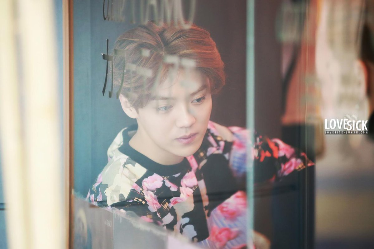 lovesick_luhan's tweet photo. D-7! 140405 김포공항 출국 &amp; 베이징공항 입국 (12P) #루한 #luhan #LuhanBirthdaySeason 
http://t.co/04tYAIF9ml
(http://t.co/IDJzQ8NCJx) http://t.co/5u45tf7Ak0