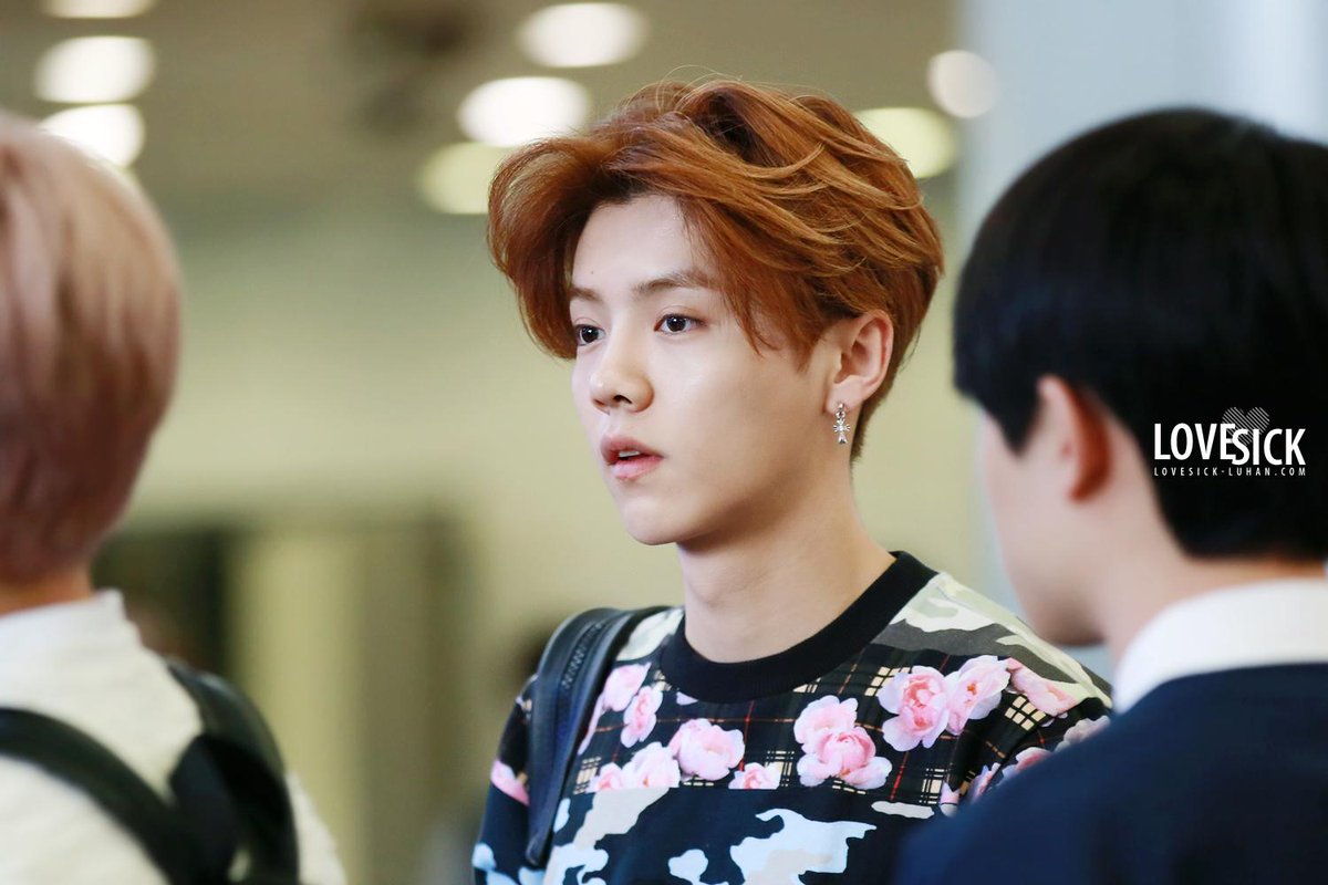 lovesick_luhan's tweet photo. D-7! 140405 김포공항 출국 &amp; 베이징공항 입국 (12P) #루한 #luhan #LuhanBirthdaySeason 
http://t.co/04tYAIF9ml
(http://t.co/IDJzQ8NCJx) http://t.co/5u45tf7Ak0