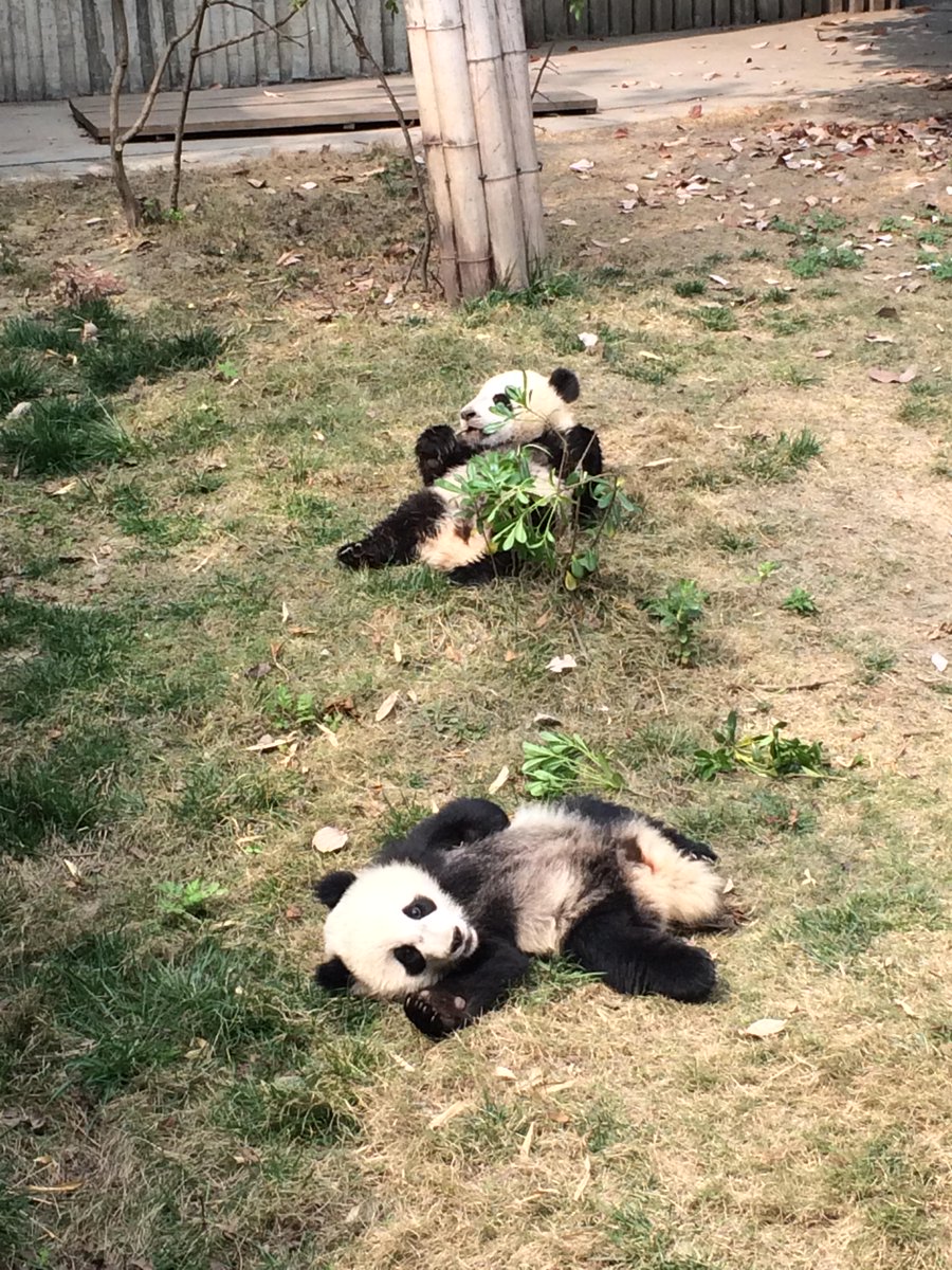 Our company located in the City of  'Panda'.They are truly lovely kids in Panda kindergarten.