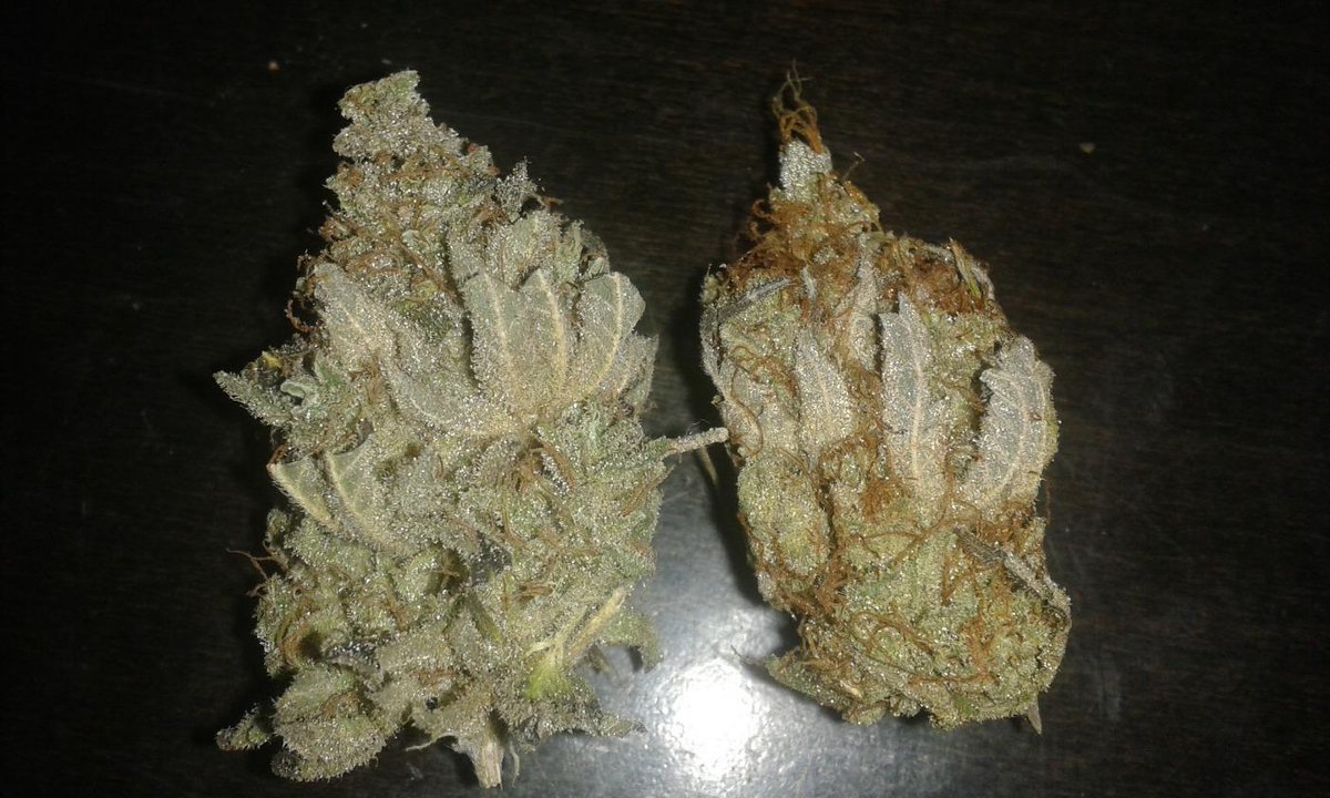 ClubPorrero's tweet photo. Industrial Plant y Moby Dick. http://t.co/xtgUCEM95I