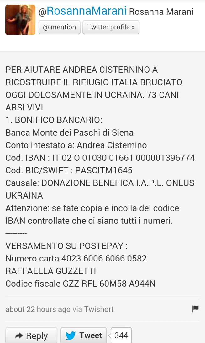 Feisty At Roughcrook Twitter