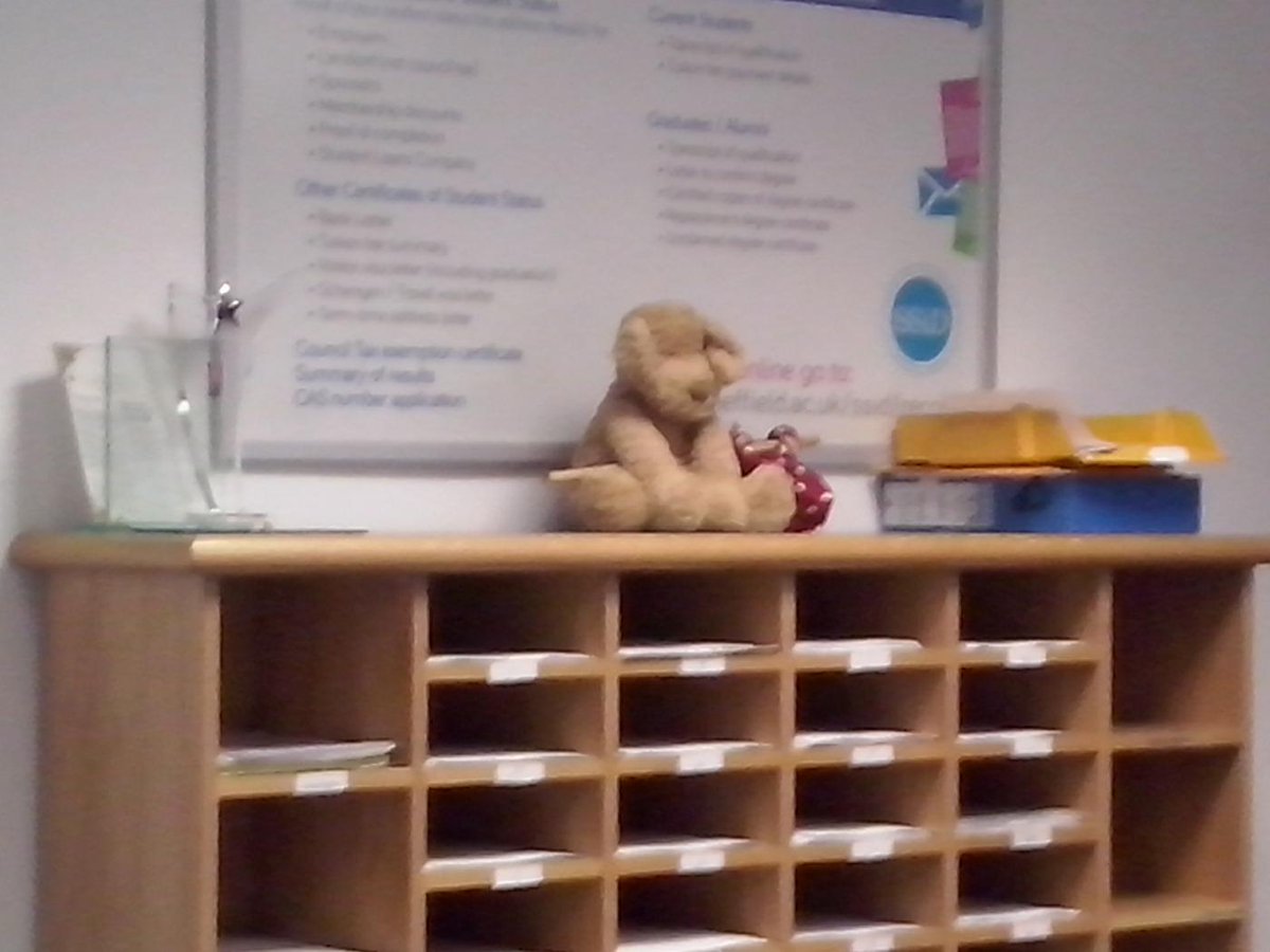 Judith Muñoz tweet media