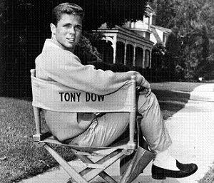 Happy Birthday Wally. Tony Dow is 70 today!  