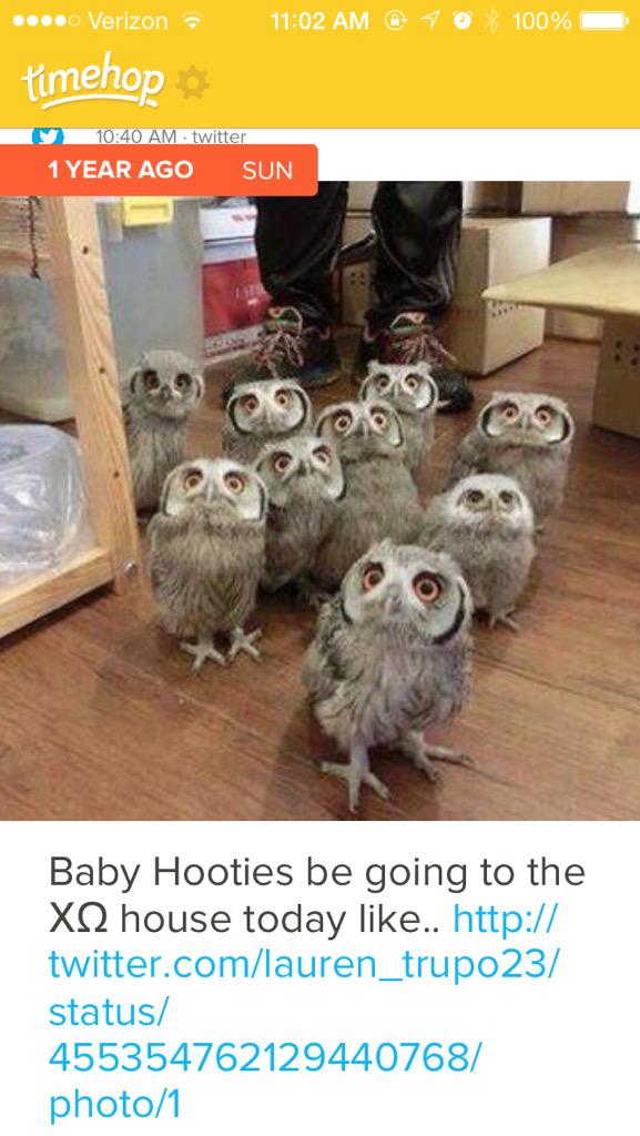 lauren_trupo23's tweet image. Lol #Spring14