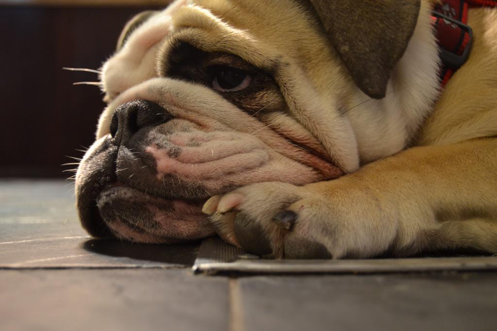 TheNoiseofStrangers tweet media