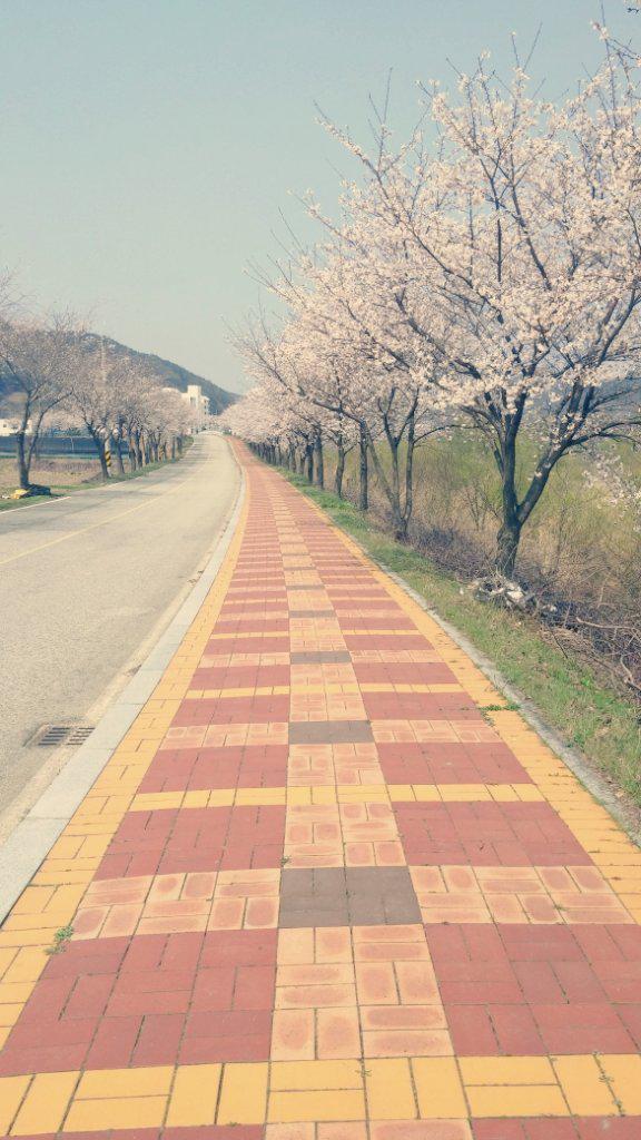 aneris0261's tweet photo. 봄은 설렘 따뜻함 감기 시작 행복 http://t.co/fRKDEJu1fU